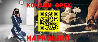 тгк Дмитров
