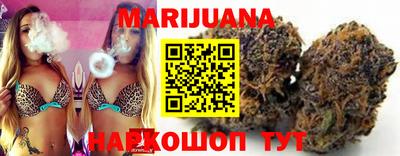 тгк Дмитров
