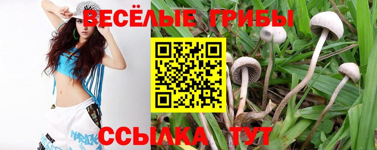 Новотроицк  Галлюциногенные грибы Magic Shrooms  Вход с VPN 
